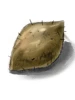 Sweet Potato