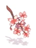 (服飾)櫻花樹枝