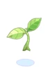 新鮮茶葉