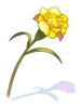 螳螂花