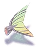 魚塊