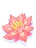典雅花朵
