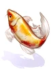 Carp