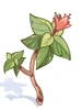 毒香草